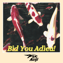 Load image into Gallery viewer, Bid You Adieu!